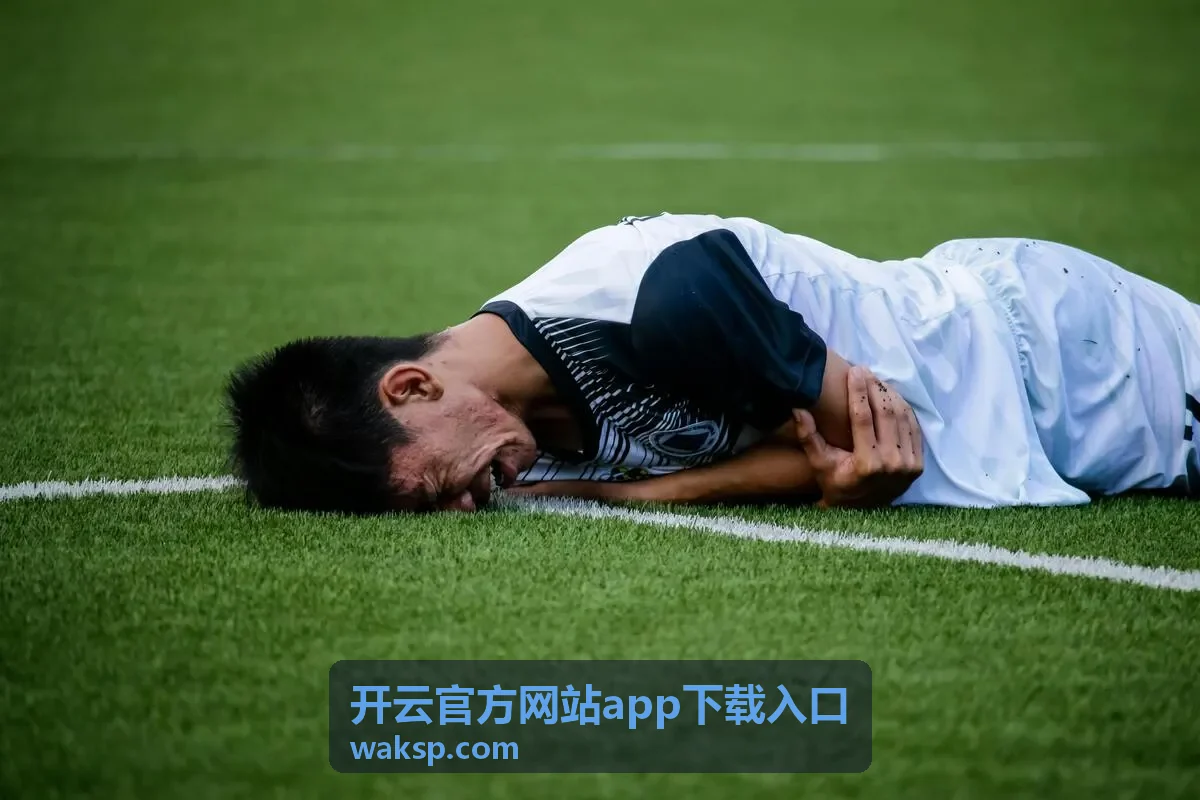 开云官方网站app下载入口功能与账户设置界面示意图