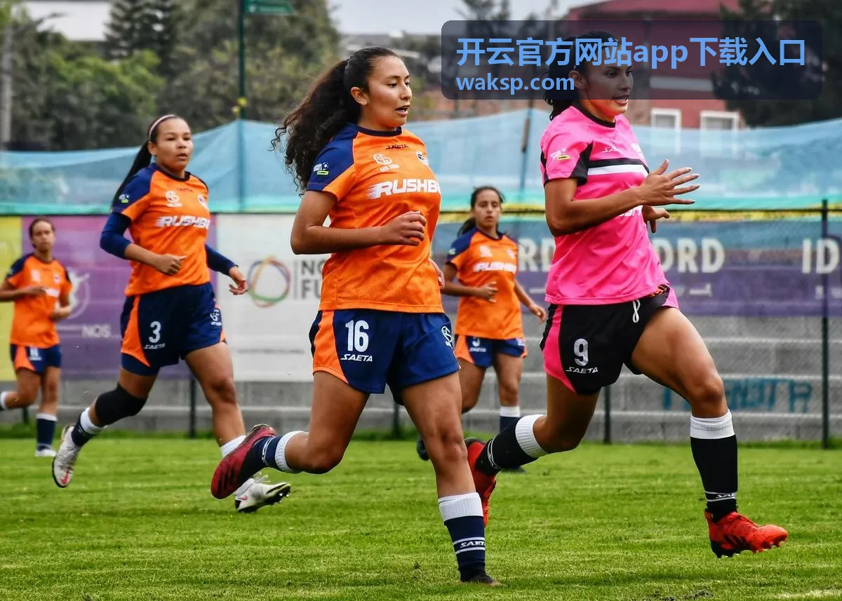 开云官方网站app下载入口安装包版本核对说明封面