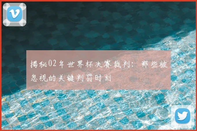 揭秘02年世界杯决赛裁判:那些被忽视的关键判罚时刻