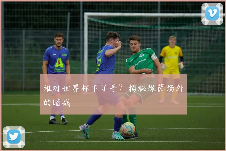 谁对世界杯下了手？揭秘绿茵场外的暗战