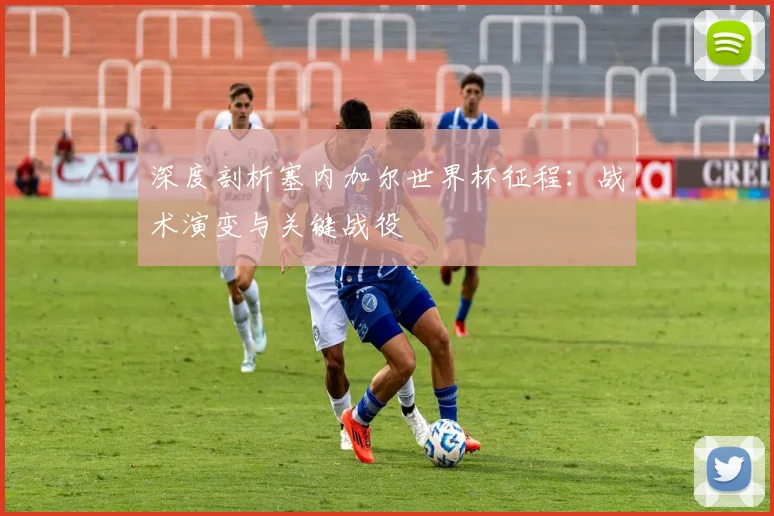 深度剖析塞内加尔世界杯征程:战术演变与关键战役
