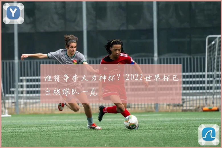 谁将争夺大力神杯？2022世界杯已出线球队一览