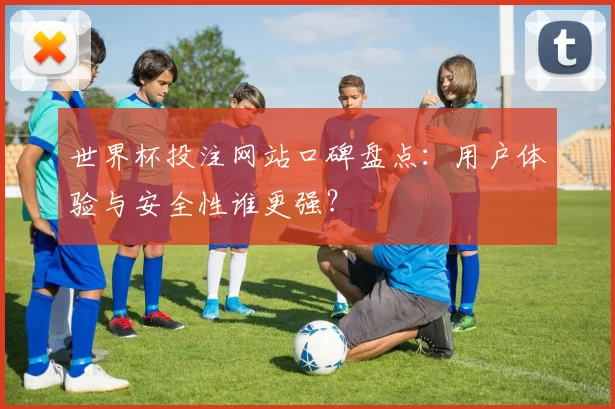 世界杯投注网站口碑盘点：用户体验与安全性谁更强？