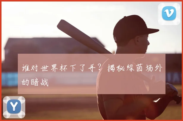谁对世界杯下了手？揭秘绿茵场外的暗战
