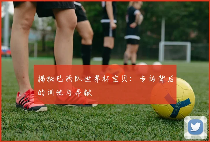 揭秘巴西队世界杯宝贝：专访背后的训练与奉献
