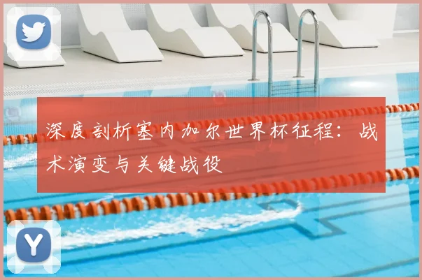 深度剖析塞内加尔世界杯征程：战术演变与关键战役