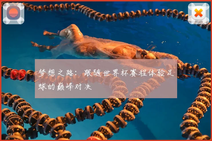 梦想之路：跟随世界杯赛程体验足球的巅峰对决