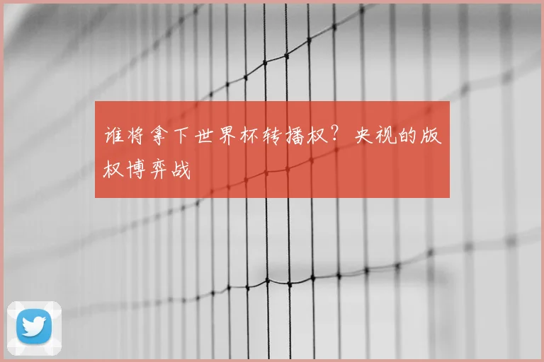 谁将拿下世界杯转播权？央视的版权博弈战
