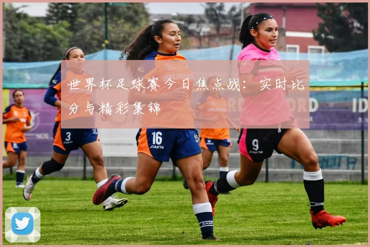 世界杯足球赛今日焦点战：实时比分与精彩集锦