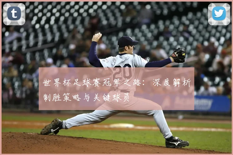 世界杯足球赛冠军之路：深度解析制胜策略与关键球员