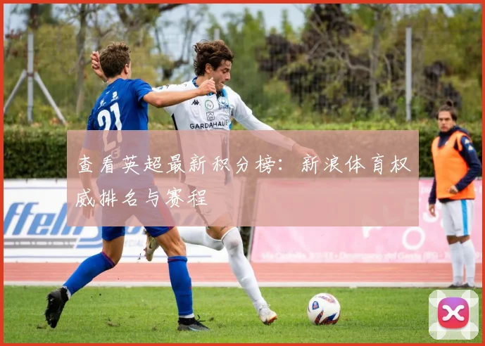 查看英超最新积分榜：新浪体育权威排名与赛程