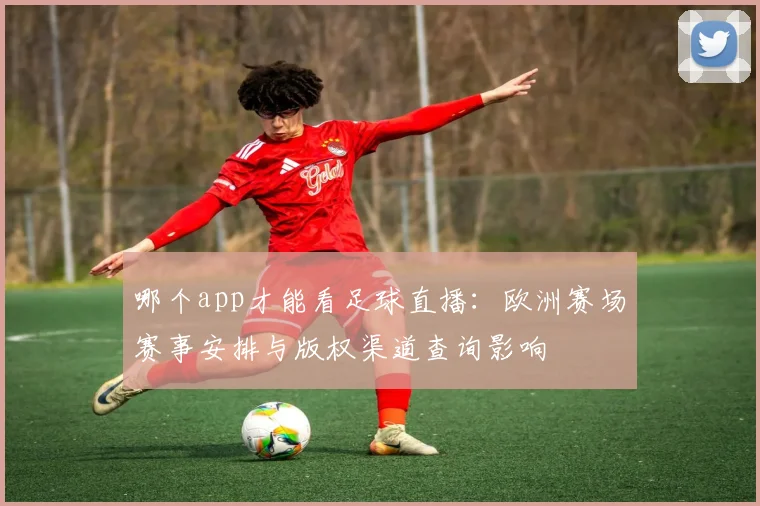 哪个app才能看足球直播：欧洲赛场赛事安排与版权渠道查询影响