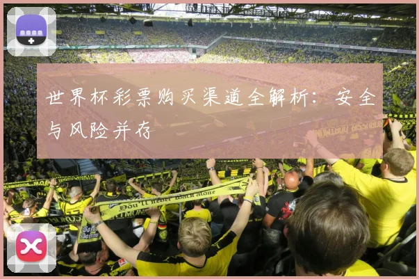 世界杯彩票购买渠道全解析：安全与风险并存